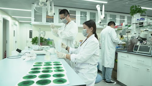 新洋豐 高舉創(chuàng)新大旗，引領(lǐng)農(nóng)業(yè)科學(xué)研究和試驗發(fā)展