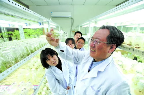 三聚焦賦能區(qū)域全面振興 農(nóng)業(yè)科研與試驗發(fā)展的關(guān)鍵路徑