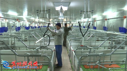 科技賦能，智慧農(nóng)業(yè)為我市農(nóng)業(yè)插上騰飛之翼