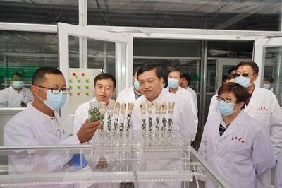 省科技廳廳長唐波赴希森馬鈴薯集團(tuán)內(nèi)蒙古基地調(diào)研