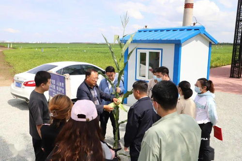 走進中國農業科學院北方大豆研究中心試驗示范基地 青年大學習中的農業科技力量